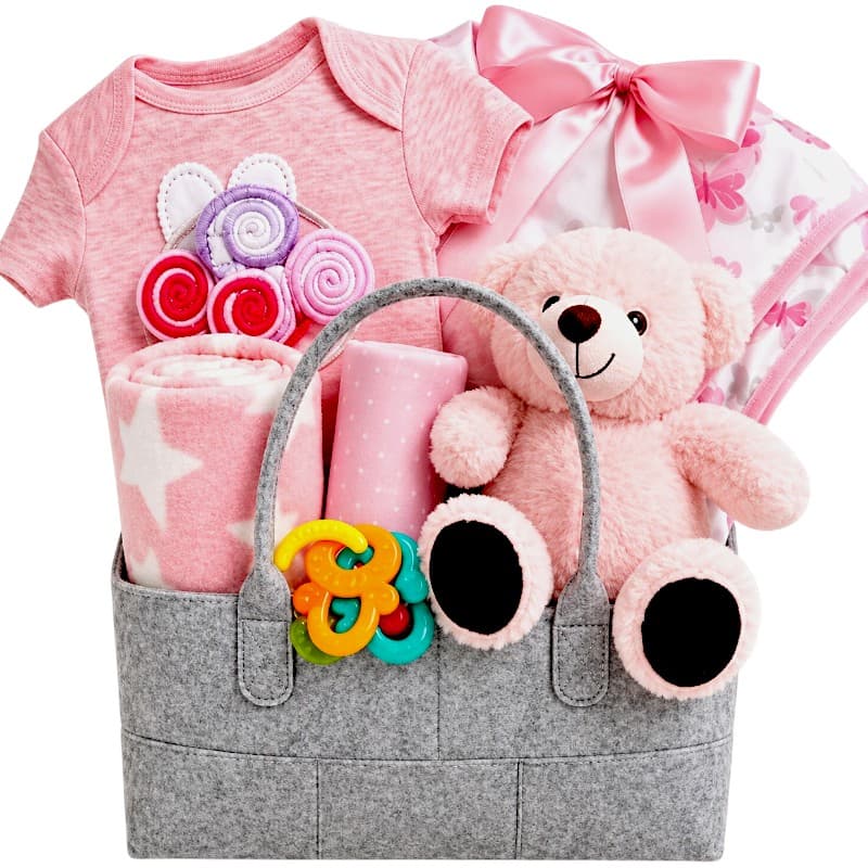 Diaper Bag Baby Girl