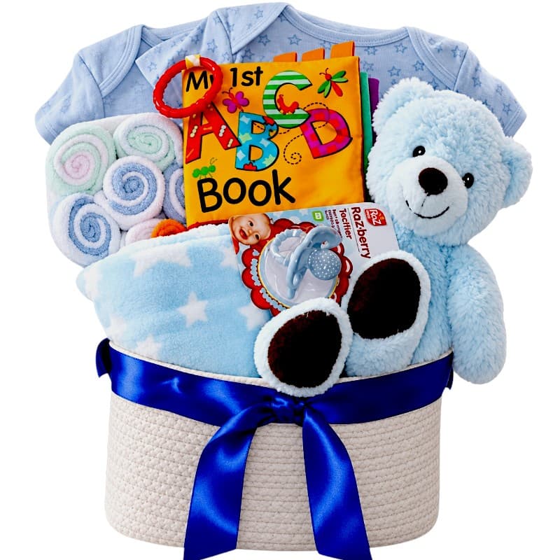 Teddy Bear Boy Basket