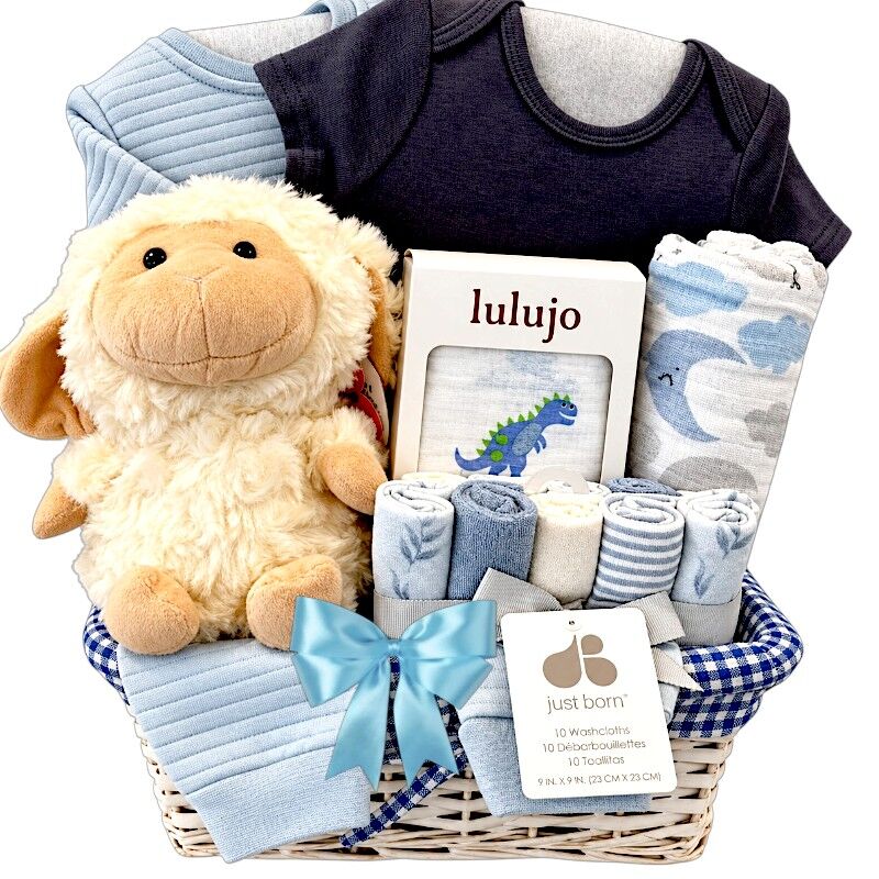 Baby Boy Lamb Gift