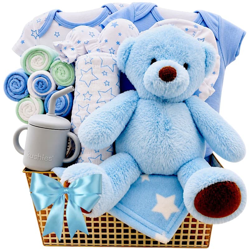 My First Teddy Bear Boy