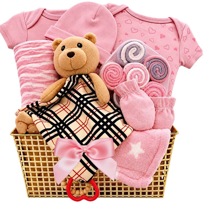 Teddy Hugs Baby Girl