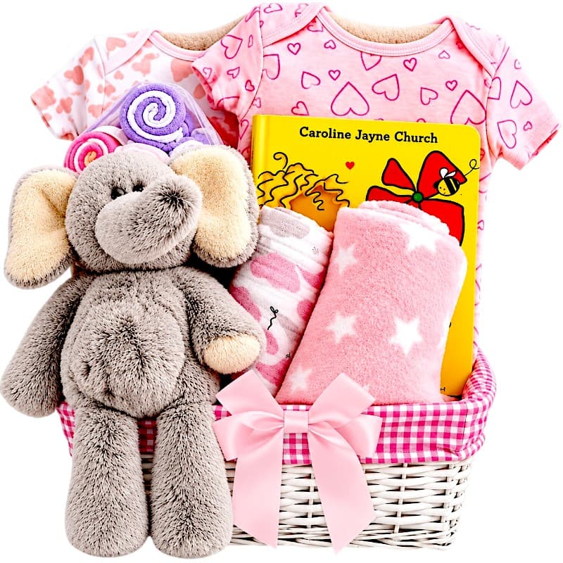 Elephant Baby Girl Gift