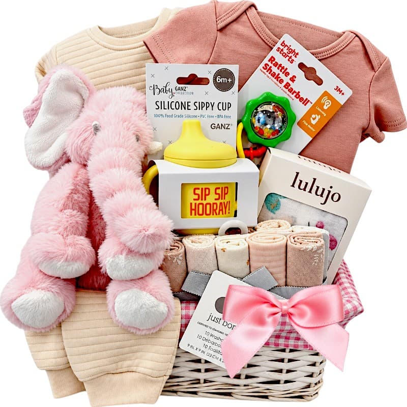 Baby Girl Elephant